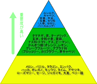 デザイナーフーズ・ピラミッド